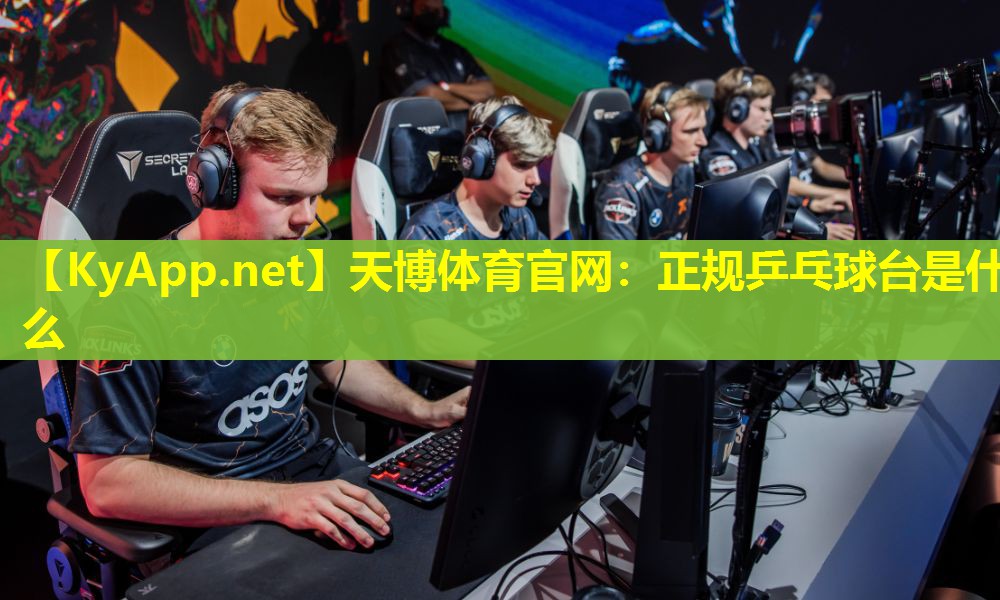 天博体育官网:正规乒乓球台是什么