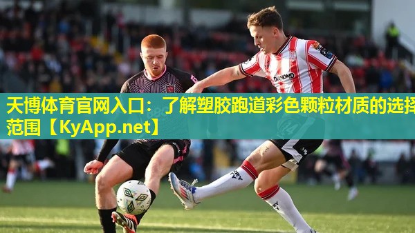 天博体育官网入口:了解塑胶跑道彩色颗粒材质的选择范围