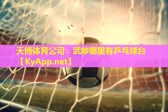 天博体育公司:武陟哪里有乒乓球台