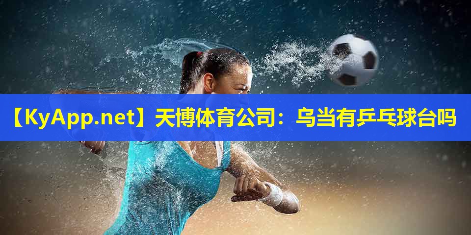 天博体育公司:乌当有乒乓球台吗
