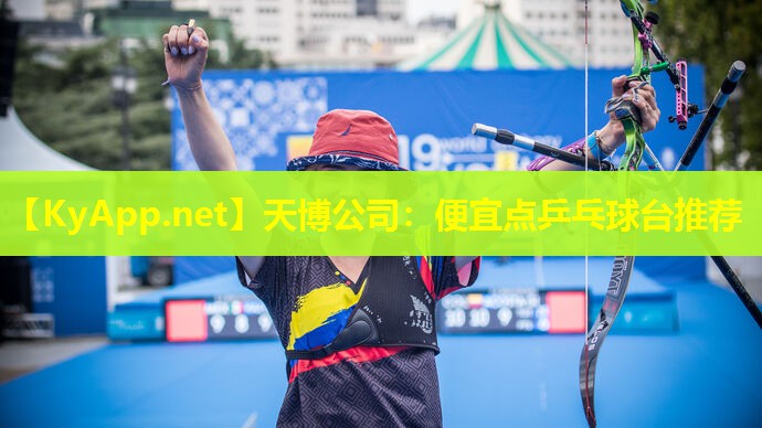 天博公司:便宜点乒乓球台推荐