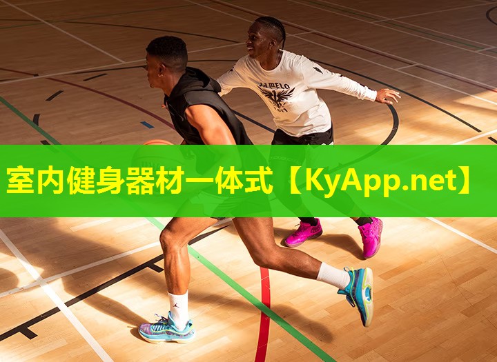 室内健身器材一体式