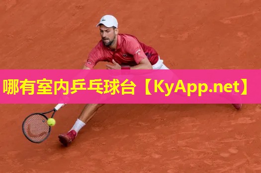 哪有室内乒乓球台