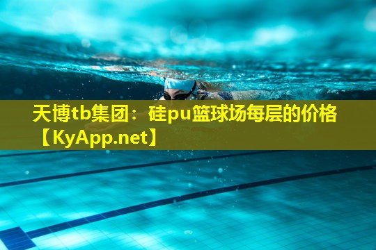 天博tb集团:硅pu篮球场每层的价格