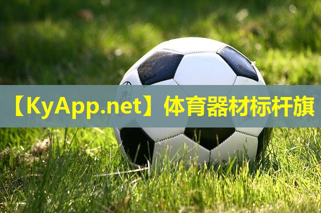 体育器材标杆旗