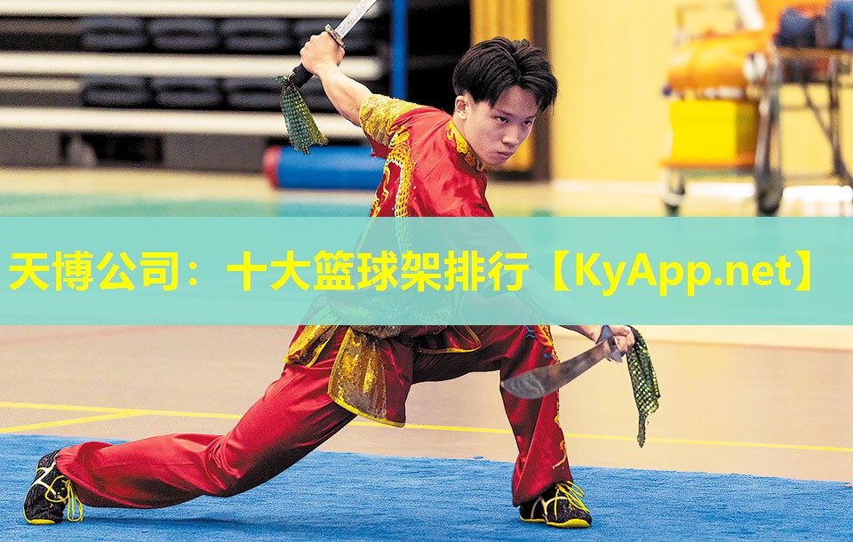 天博公司:十大篮球架排行