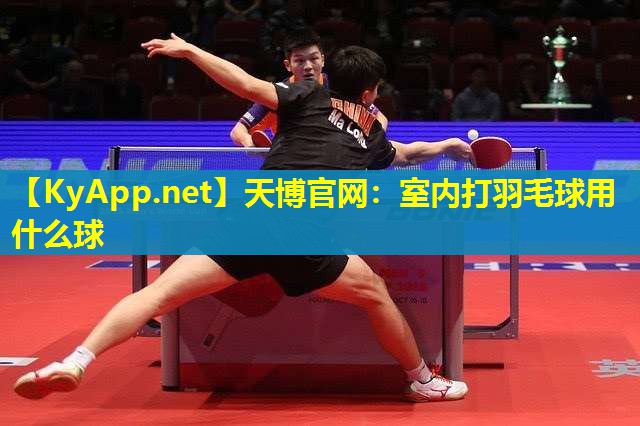 天博官网：室内打羽毛球用什么球