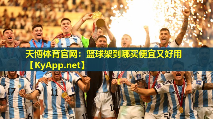 天博体育官网:篮球架到哪买便宜又好用