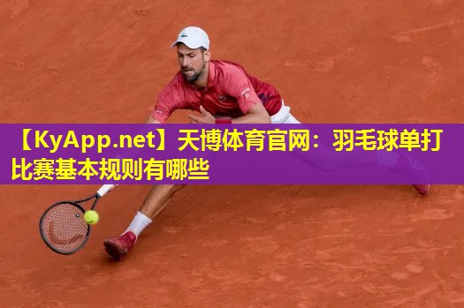 天博体育官网:羽毛球单打比赛基本规则有哪些