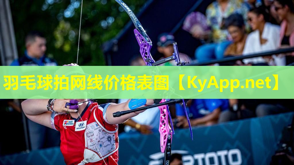 羽毛球拍网线价格表图
