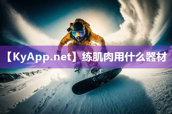 练肌肉用什么器材