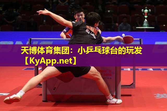 小乒乓球台的玩发
