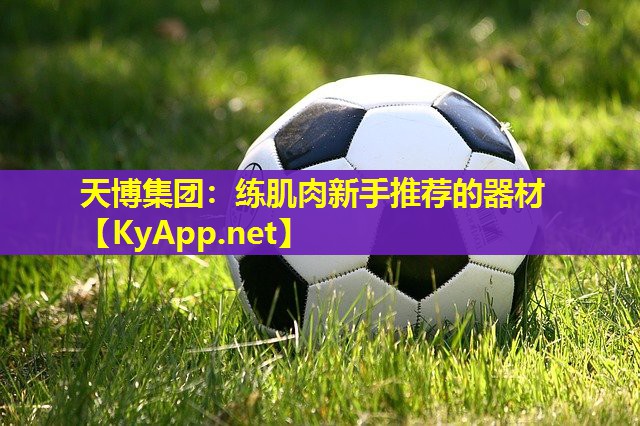 练肌肉新手推荐的器材