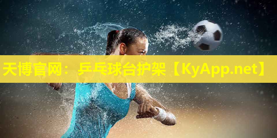 乒乓球台护架