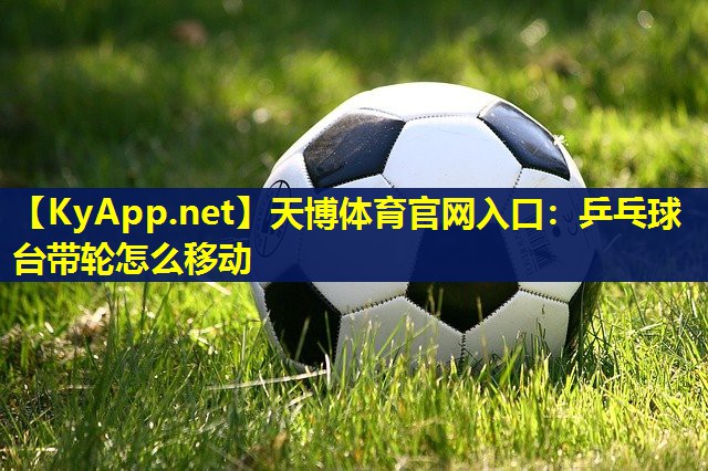 乒乓球台带轮怎么移动