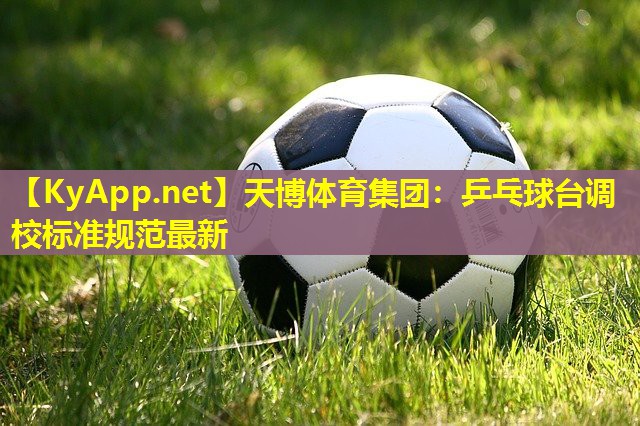 乒乓球台调校标准规范最新