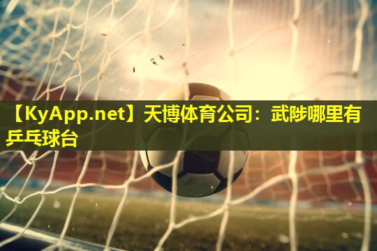 武陟哪里有乒乓球台
