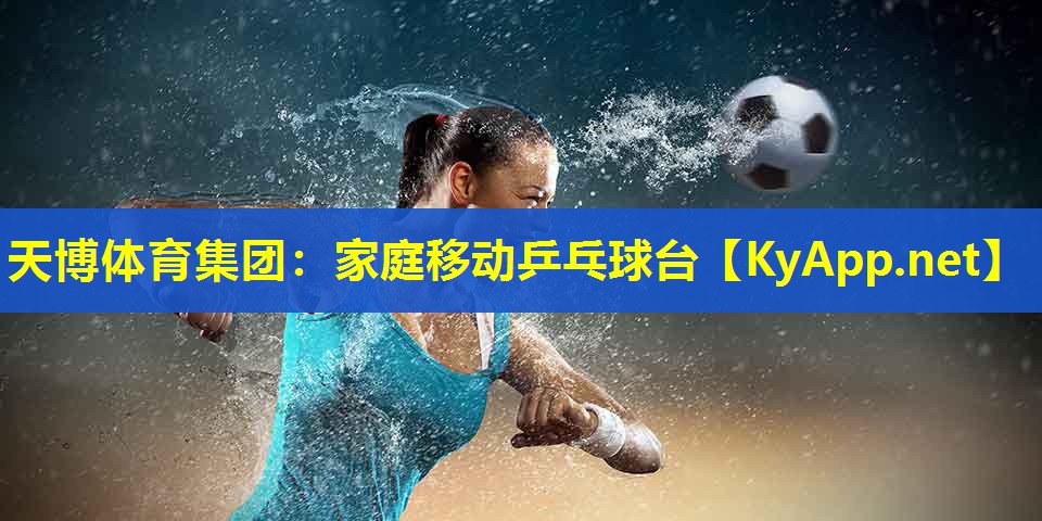 家庭移动乒乓球台