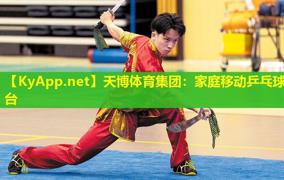 家庭移动乒乓球台