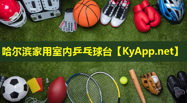哈尔滨家用室内乒乓球台