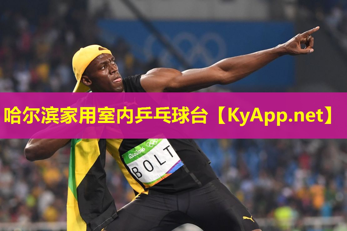 哈尔滨家用室内乒乓球台