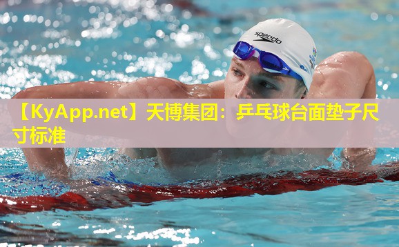 乒乓球台面垫子尺寸标准