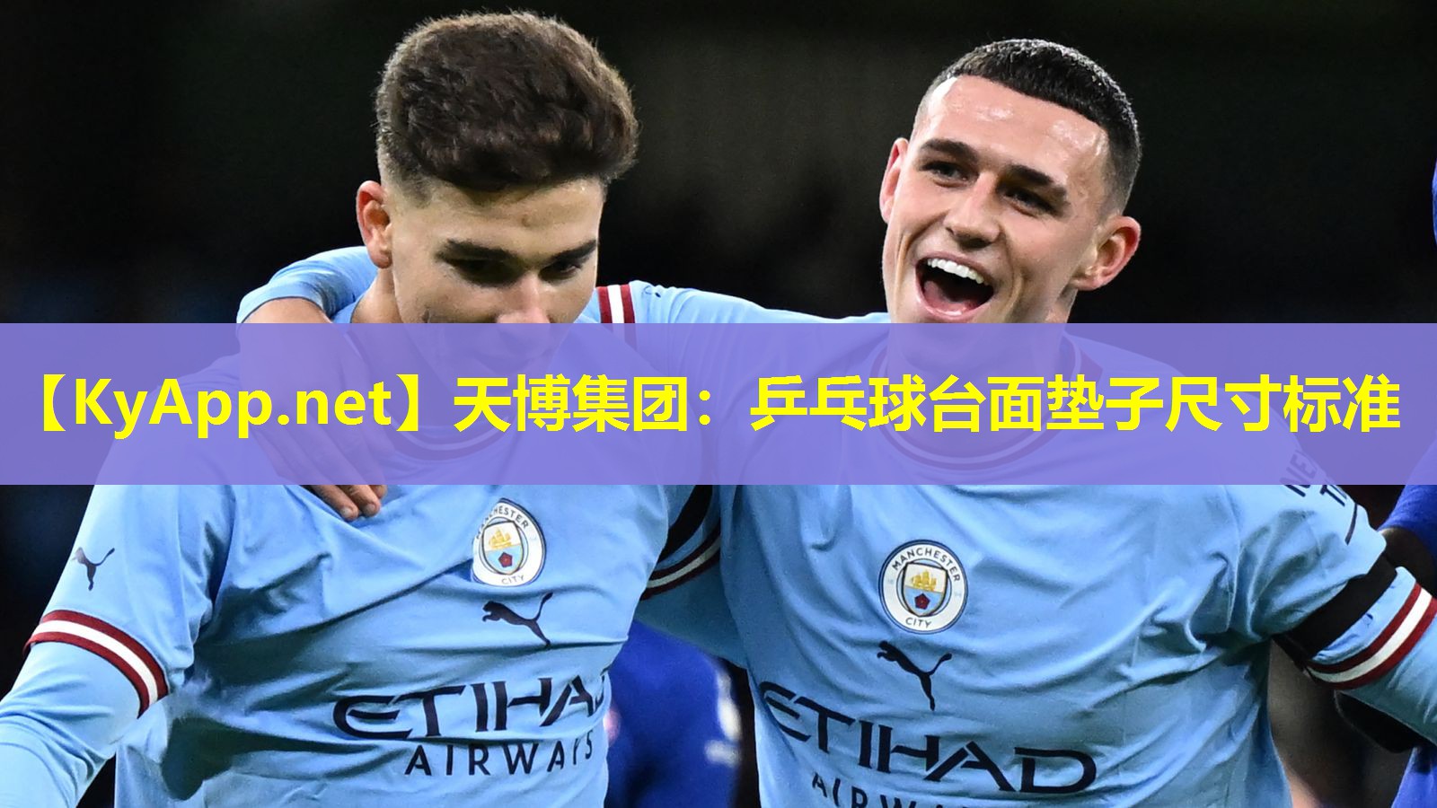乒乓球台面垫子尺寸标准