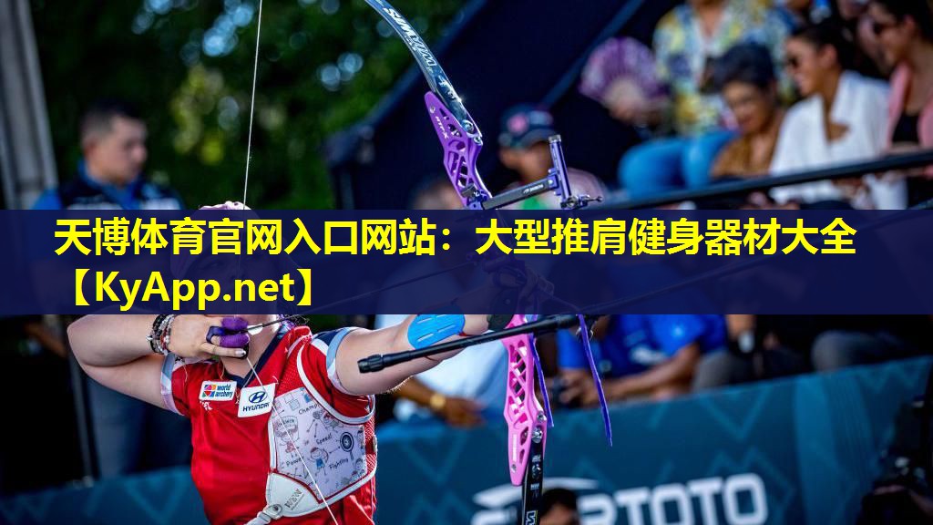 大型推肩健身器材大全