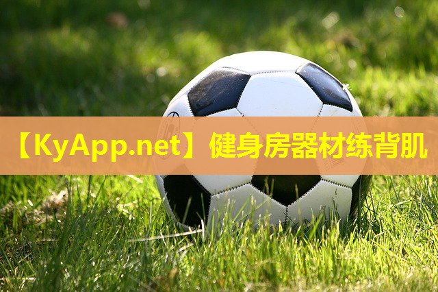 健身房器材练背肌