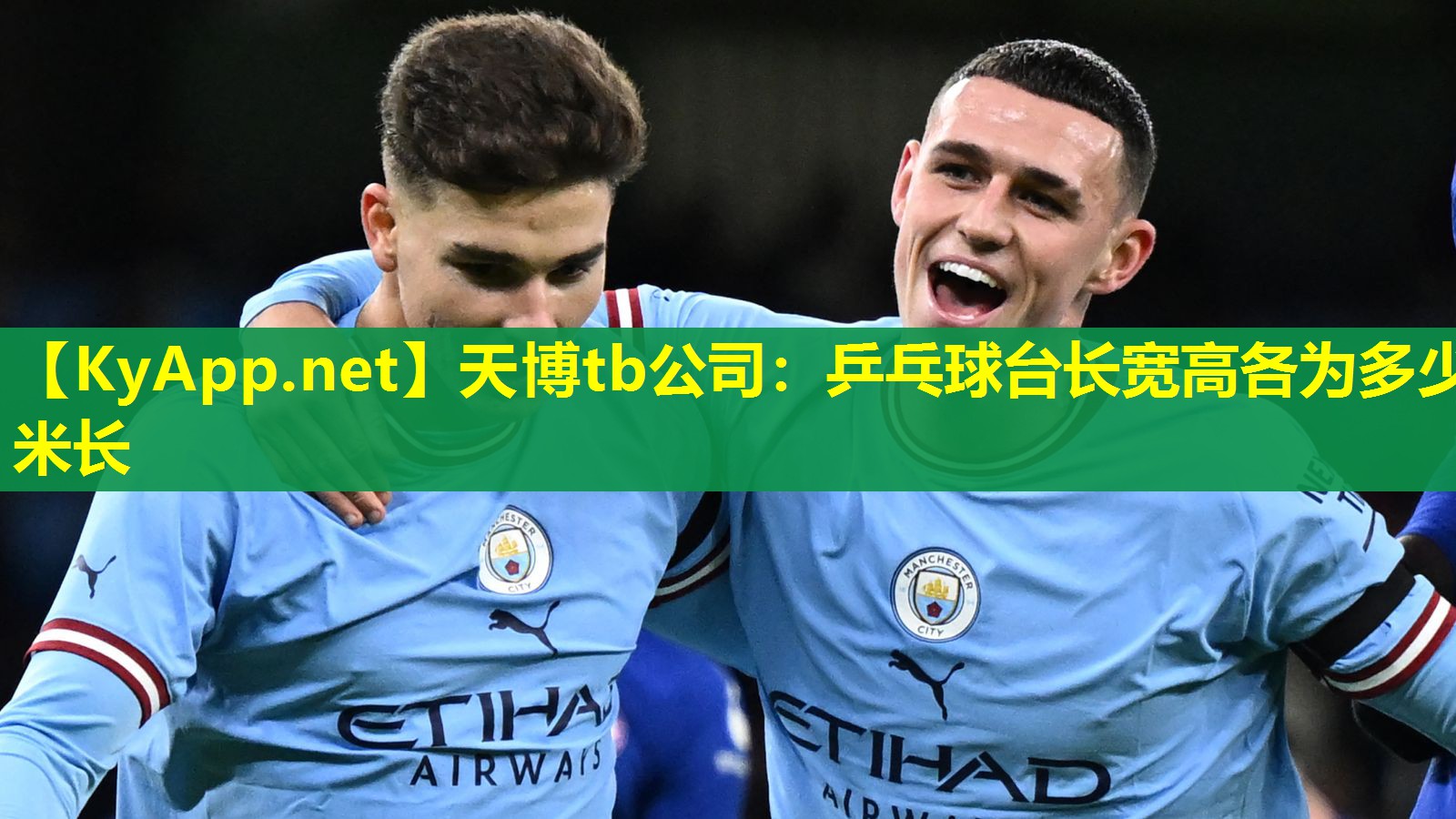 乒乓球台长宽高各为多少米长
