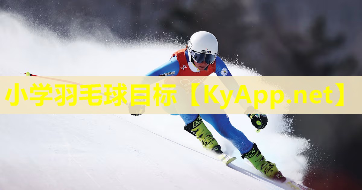 小学羽毛球目标