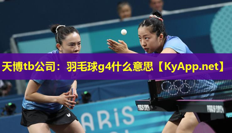 羽毛球g4什么意思