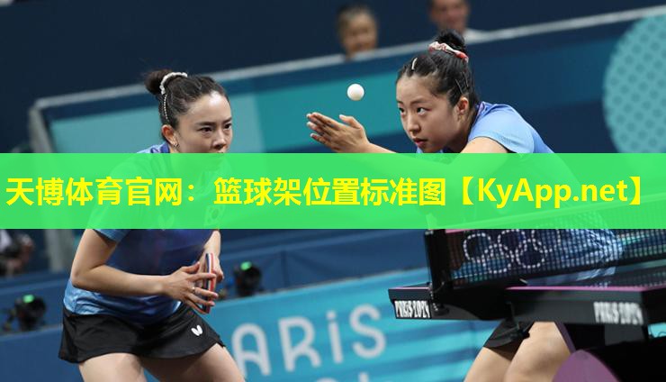 篮球架位置标准图