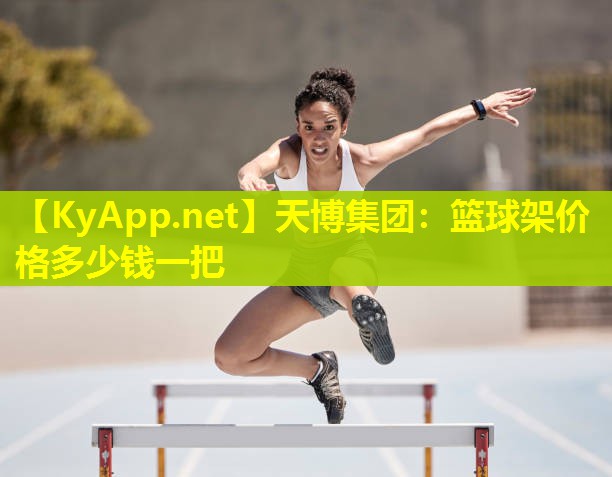 篮球架价格多少钱一把