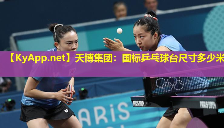 国标乒乓球台尺寸多少米