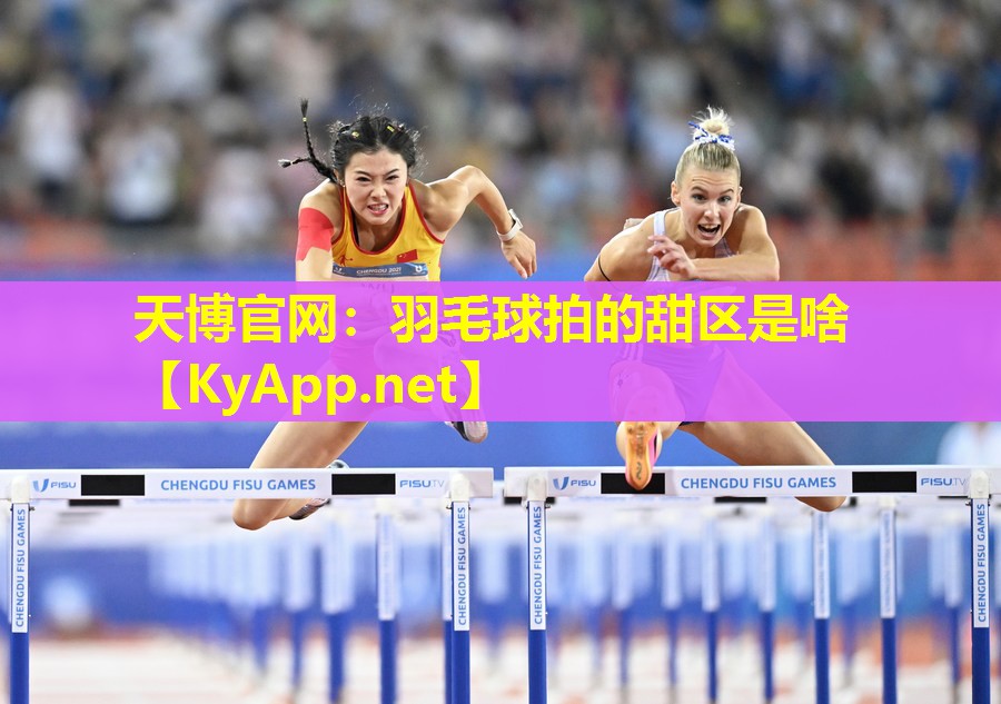 羽毛球拍的甜区是啥