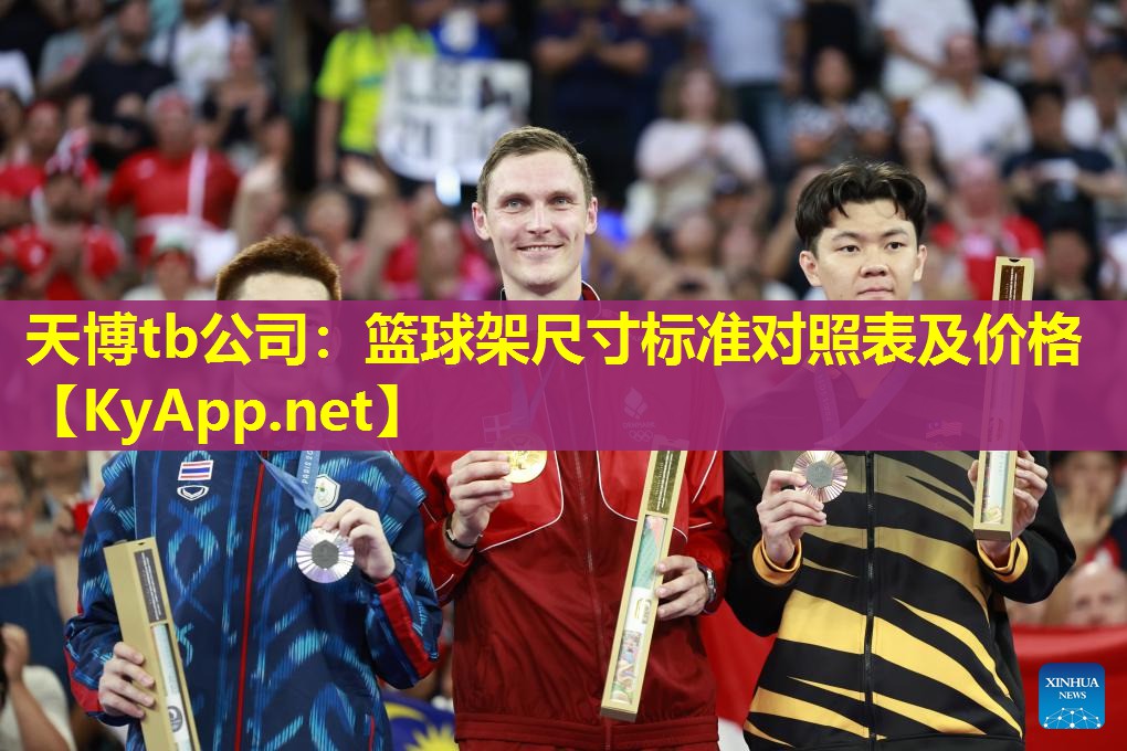 篮球架尺寸标准对照表及价格
