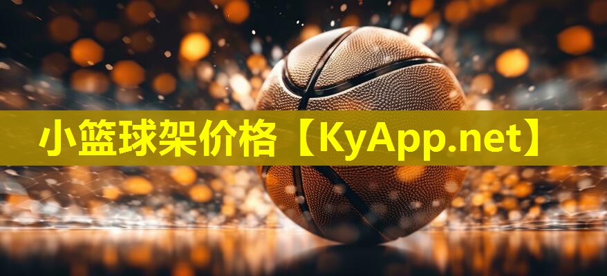 小篮球架价格
