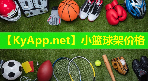 小篮球架价格