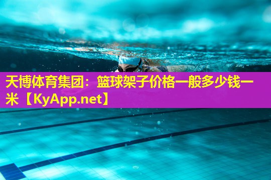 篮球架子价格一般多少钱一米