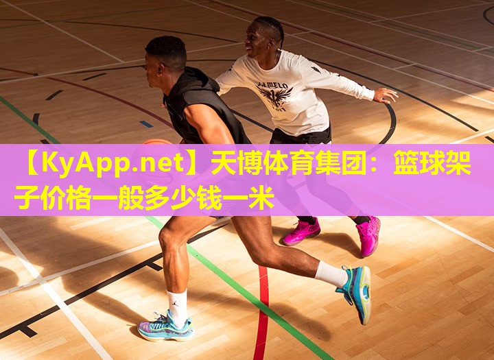 篮球架子价格一般多少钱一米