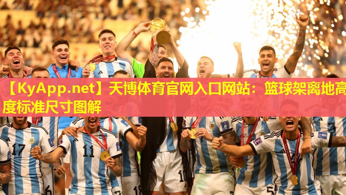 篮球架离地高度标准尺寸图解