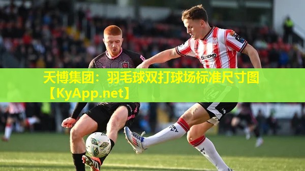 羽毛球双打球场标准尺寸图