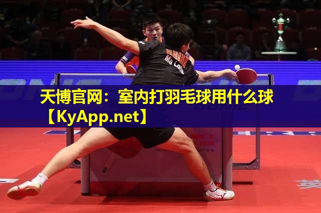 室内打羽毛球用什么球