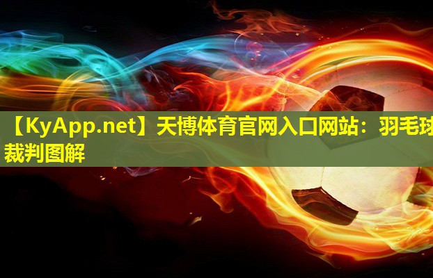羽毛球裁判图解