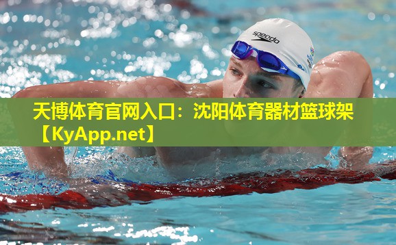 沈阳体育器材篮球架