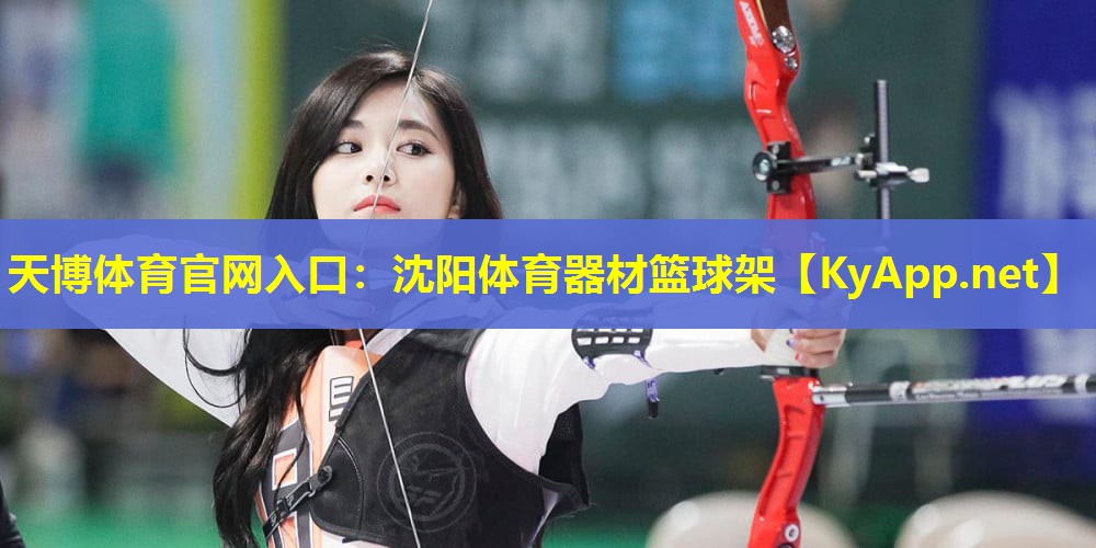 沈阳体育器材篮球架