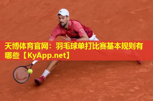 羽毛球单打比赛基本规则有哪些