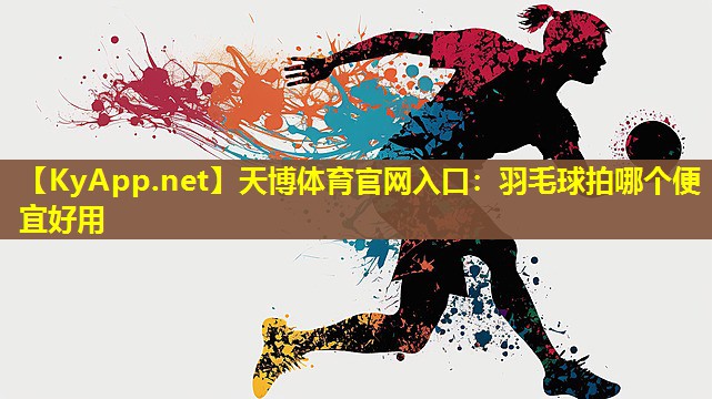 羽毛球拍哪个便宜好用