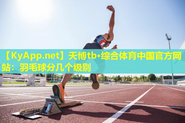 羽毛球分几个级别